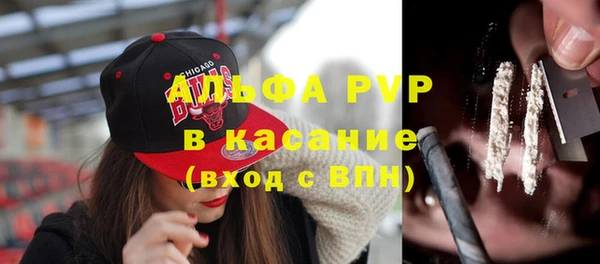 стафф Покачи