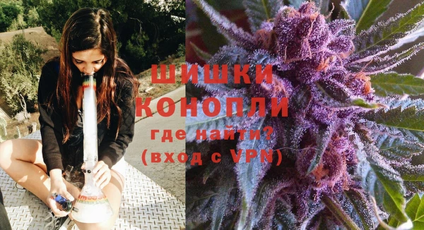 стафф Покачи