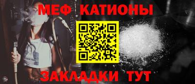 мдпв Камышлов