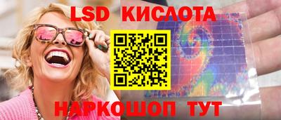 мдпв Камышлов