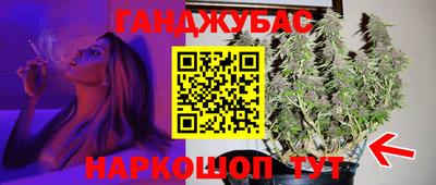 мдпв Камышлов
