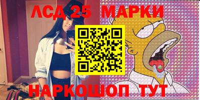 мдпв Камышлов