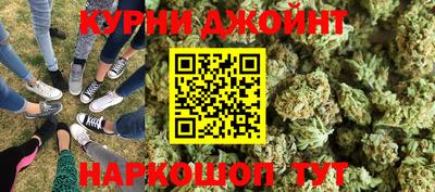 мдпв Камышлов