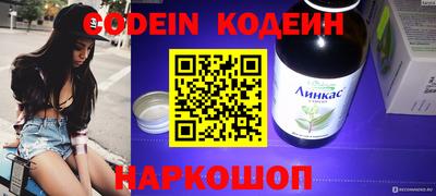 мдпв Камышлов