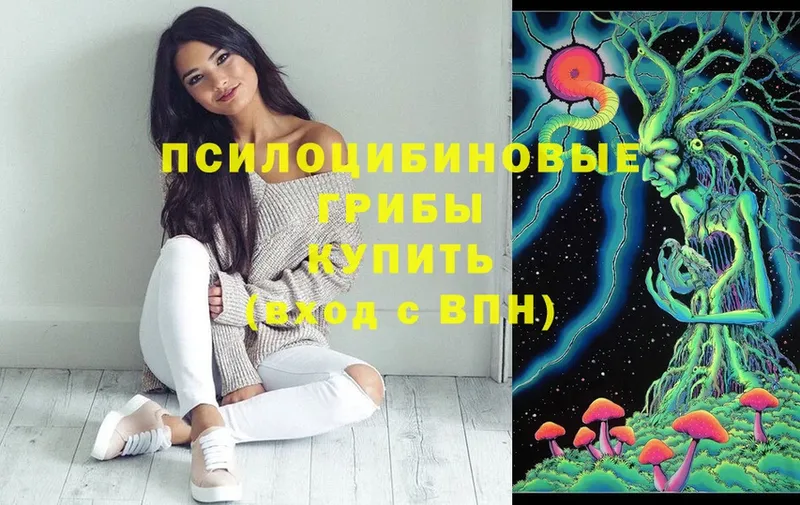 Псилоцибиновые грибы MAGIC MUSHROOMS  как найти закладки  Лобня 