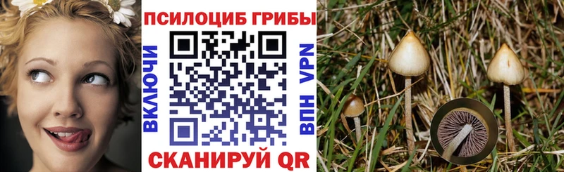 Псилоцибиновые грибы прущие грибы  Лобня 