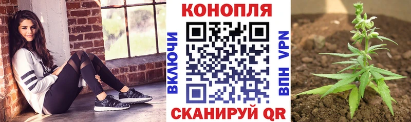 как найти наркотики  Лобня  Каннабис White Widow 